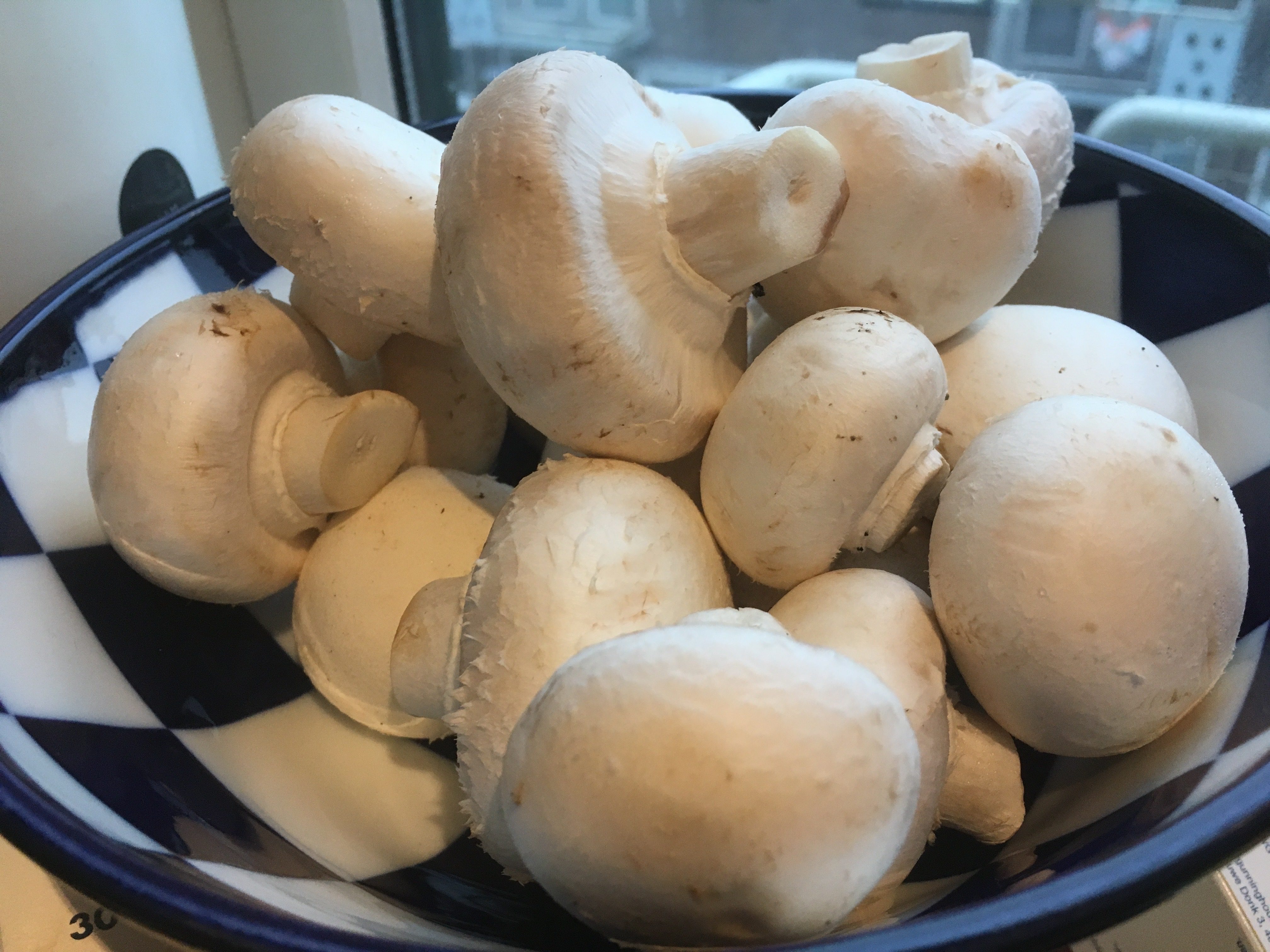 Schaal met champignons